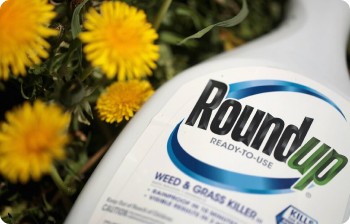 Roundup